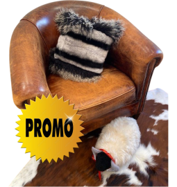 REX RABBIT AND TIBETAN...