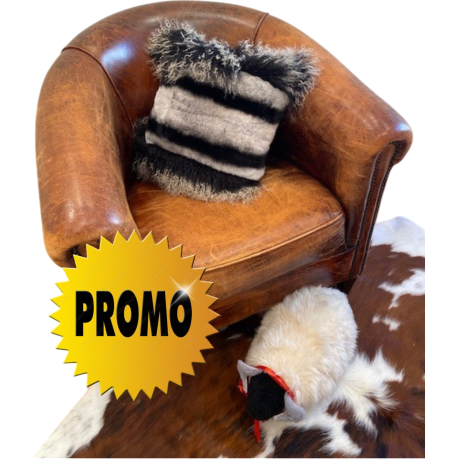 COUSSIN LAPIN REX CHINCHILLA ET TIBET