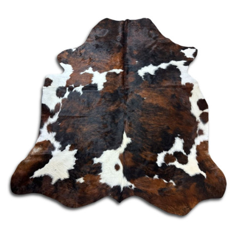 PEAU DE VACHE 3 COULEURS TYPE NORMANDE 8