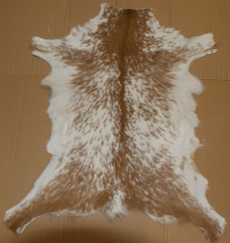 PEAUX DE CHEVREAUX