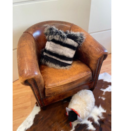 COUSSIN LAPIN REX CHINCHILLA ET TIBET