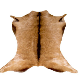 PEAU DE CHEVRE ALPINE