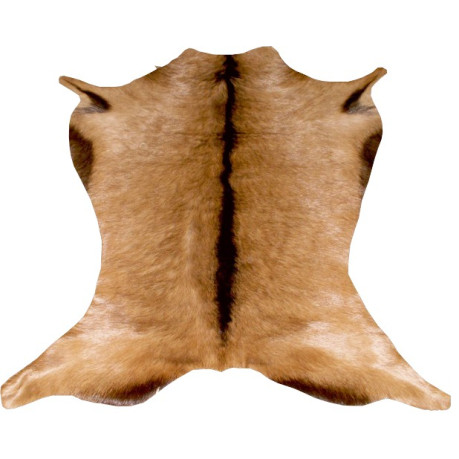 PEAU DE CHEVRE ALPINE