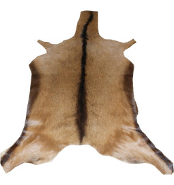 PEAU DE CHEVRE ALPINE